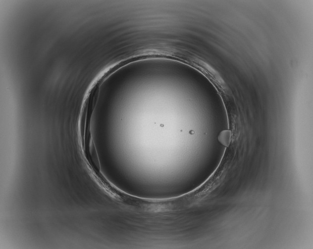 X0000116440796200912081555