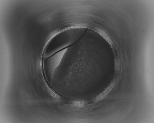 X0000116440797200912081555