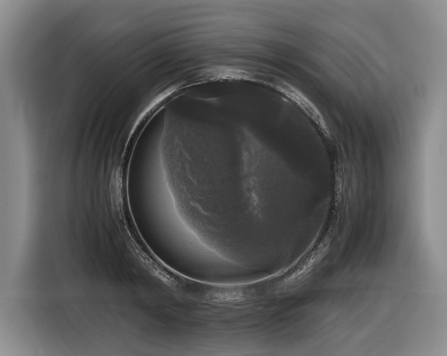 X0000116440798200912081555