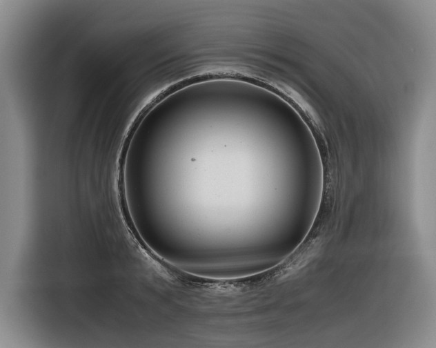 X0000116440799200912081555