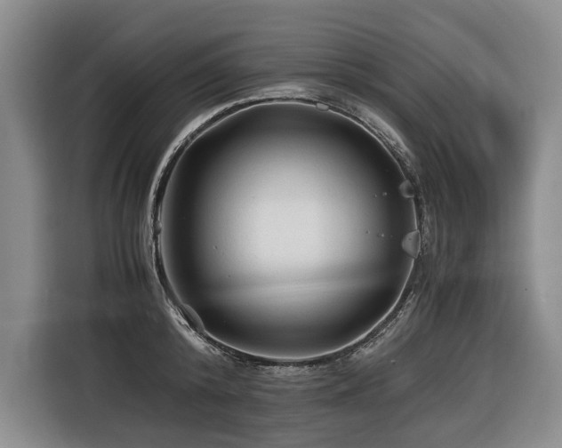 X0000116440800200912081555