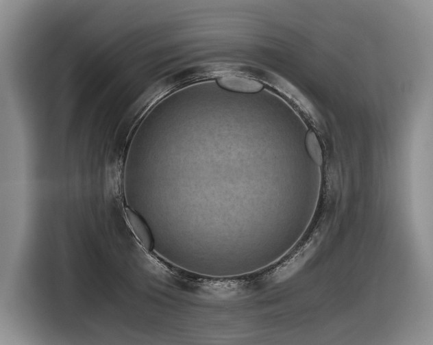 X0000116440801200912081555