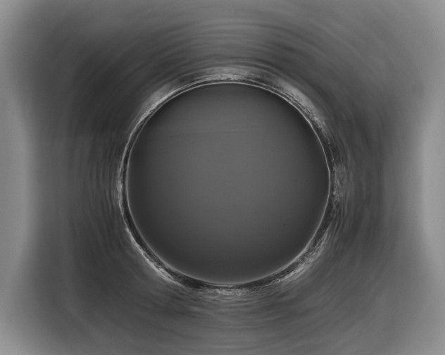 X0000116440802200912081555