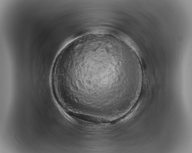 X0000116440803200912081555
