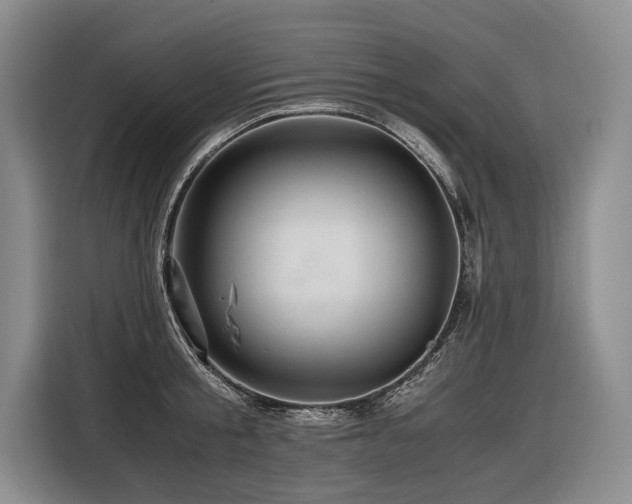 X0000116440805200912081555
