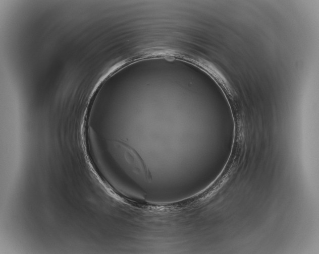 X0000116440806200912081555