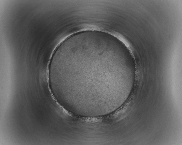 X0000116440807200912081555