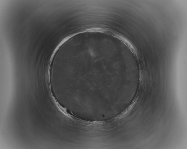 X0000116440808200912081555