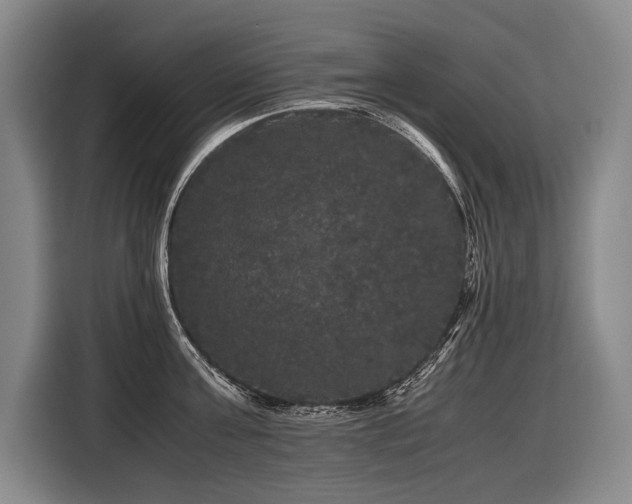 X0000116440811200912081555