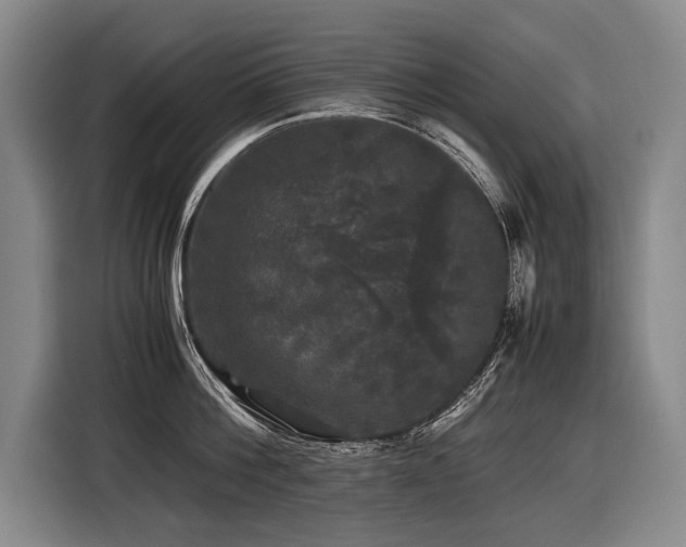 X0000116440812200912081555