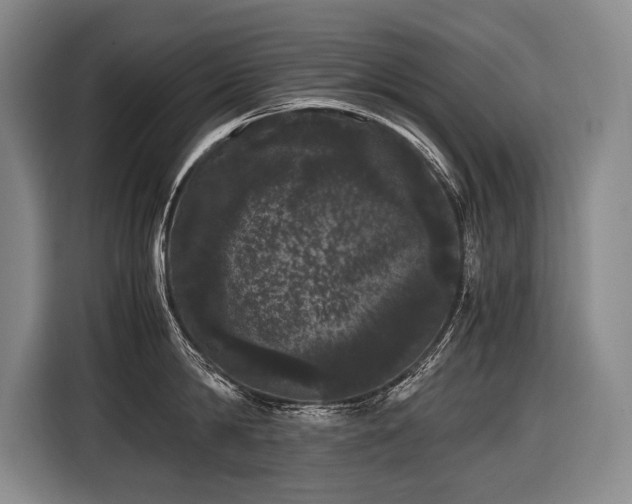 X0000116440814200912081555