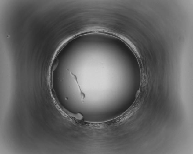 X0000116440815200912081555
