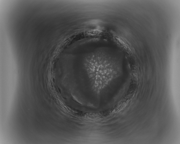 X0000116440817200912081554