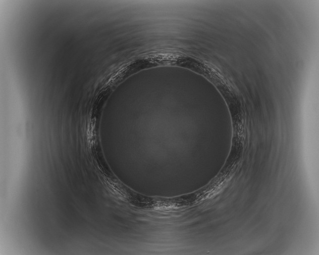 X0000116440818200912081554