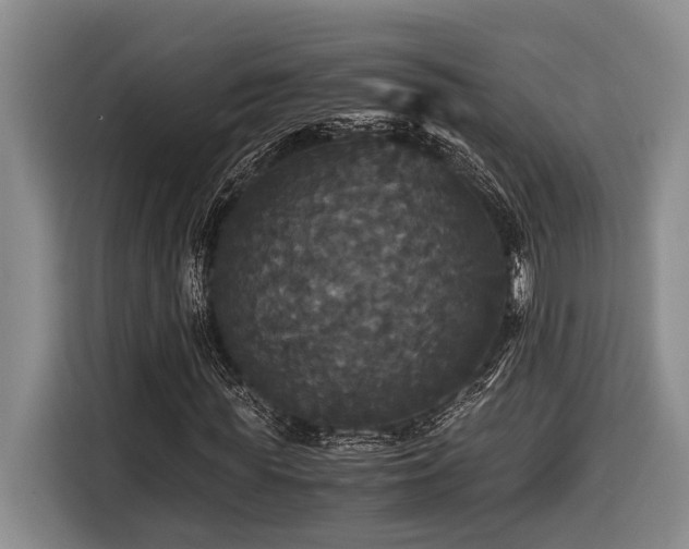 X0000116440819200912081554
