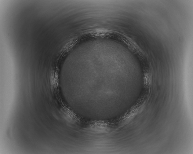 X0000116440820200912081554