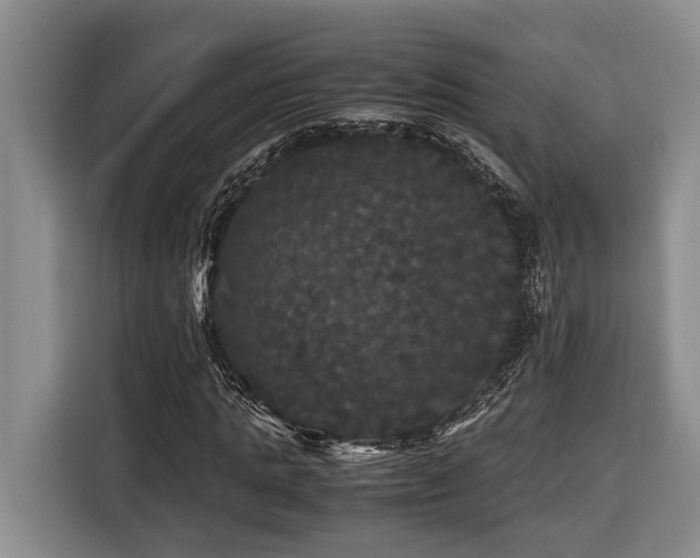 X0000116440821200912081554