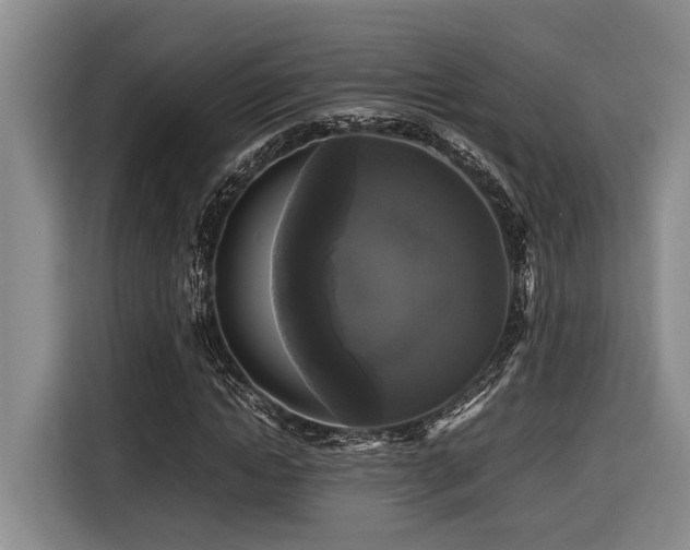X0000116440822200912081554