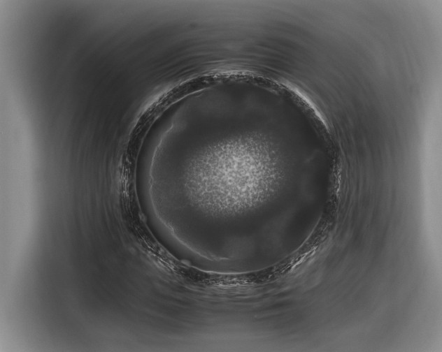 X0000116440823200912081554