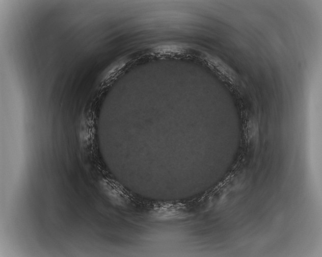 X0000116440824200912081554