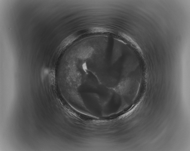 X0000116440825200912081554