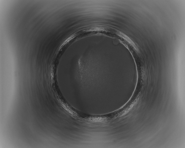 X0000116440826200912081554