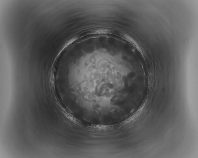 X0000116440827200912081554