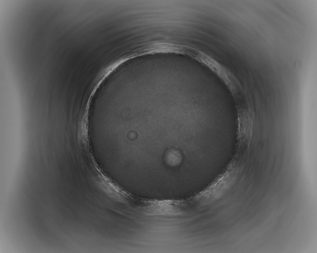 X0000116440828200912081554