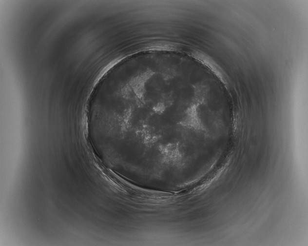 X0000116440829200912081554