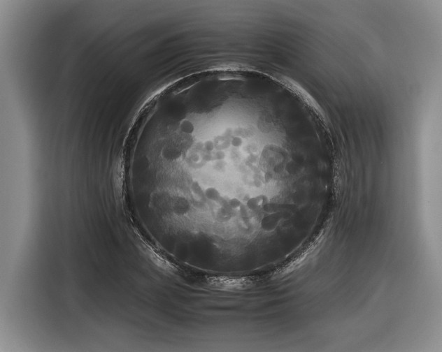 X0000116440831200912081555