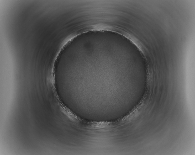 X0000116440832200912081555