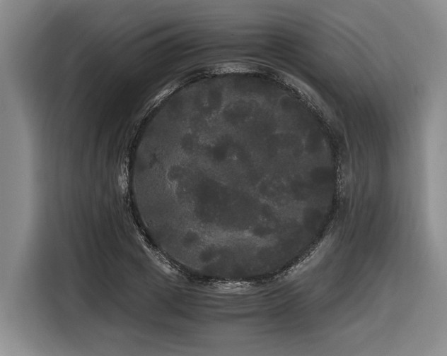 X0000116440833200912081555