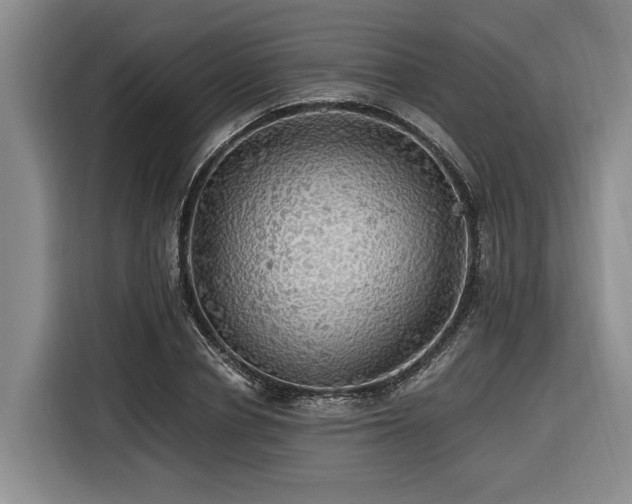 X0000116440834200912081555