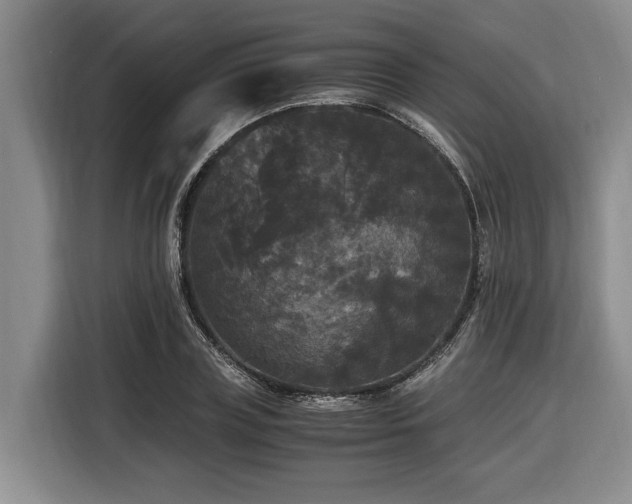 X0000116440835200912081555