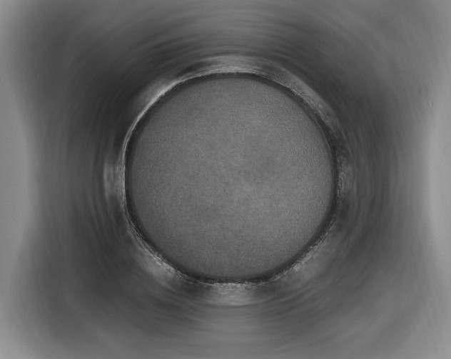 X0000116440836200912081555