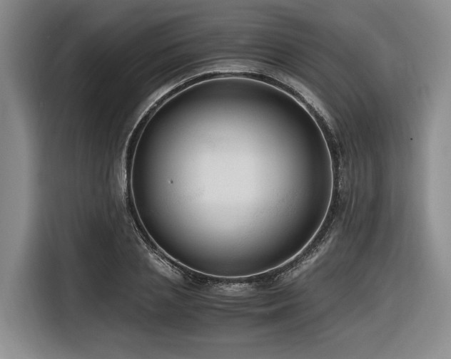 X0000116440837200912081555