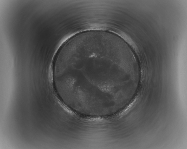 X0000116440838200912081555