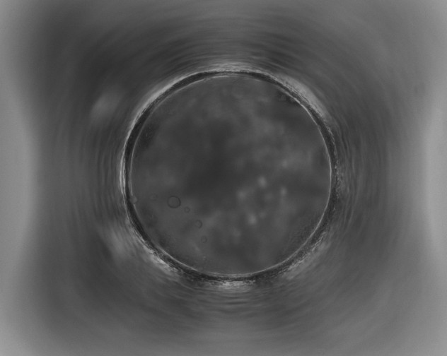 X0000116440839200912081555