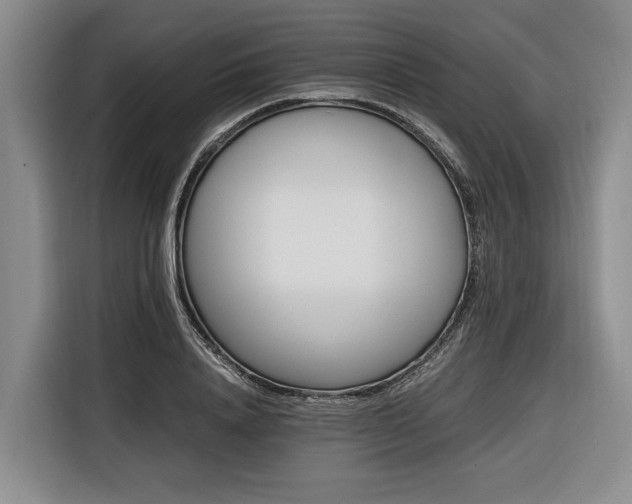 X0000116440840200912081555