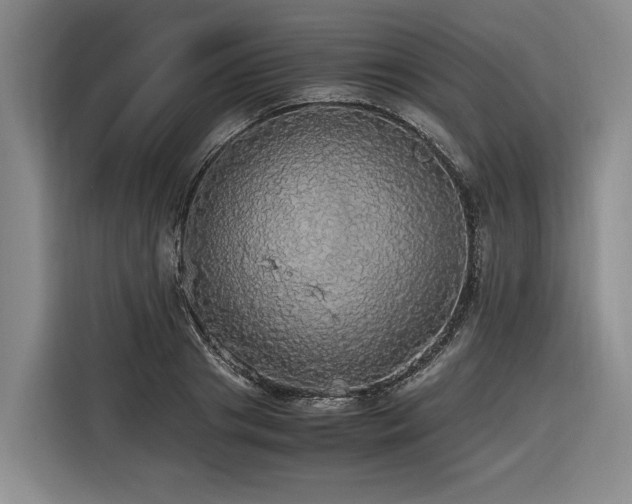 X0000116440841200912081555