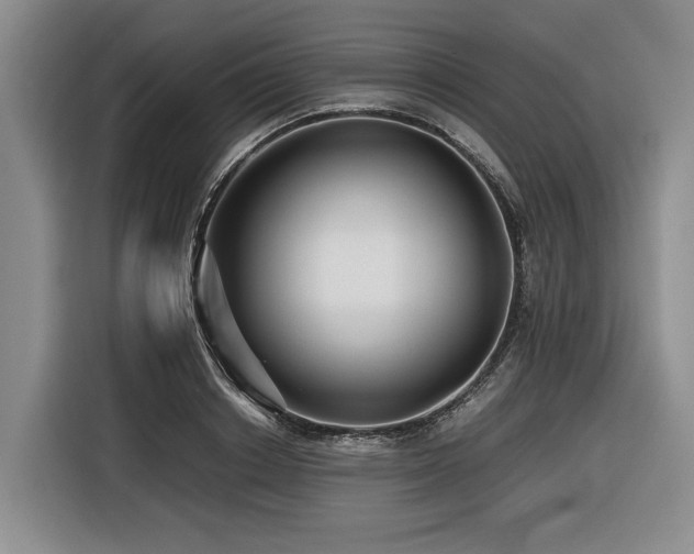 X0000116440842200912081555