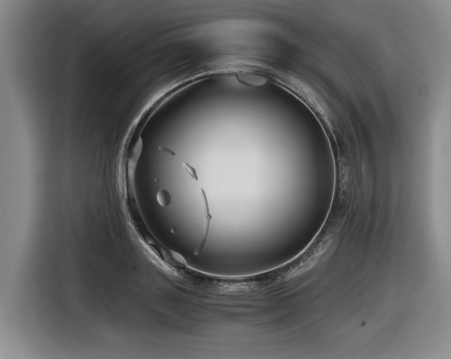 X0000116440843200912081555