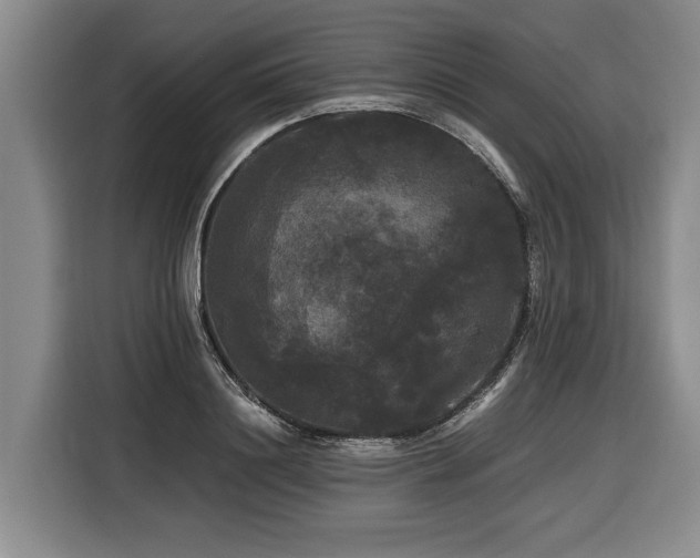 X0000116440844200912081555