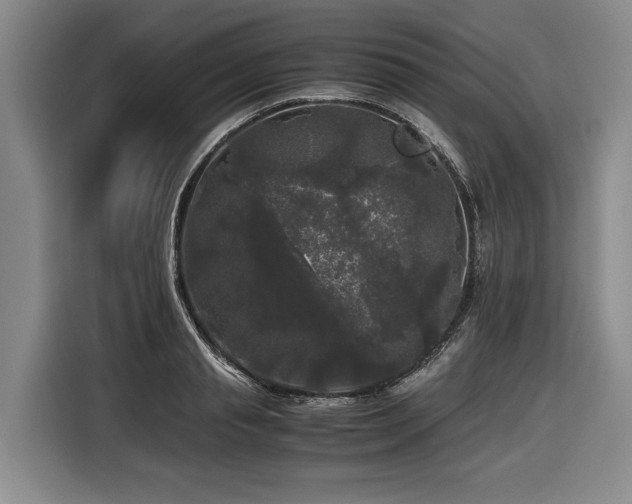 X0000116440845200912081555