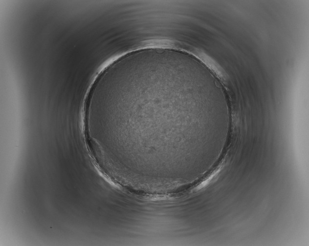 X0000116440846200912081555