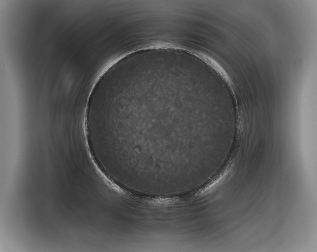 X0000116440847200912081555