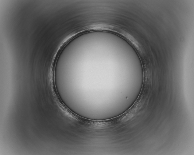X0000116440848200912081555