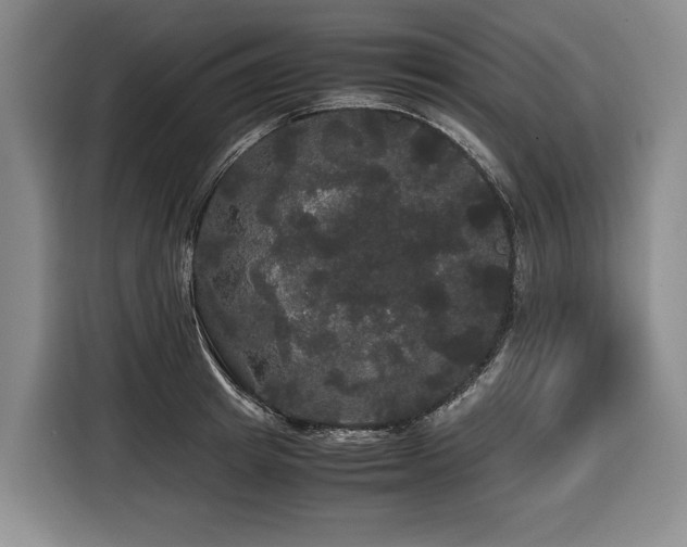 X0000116440849200912081555