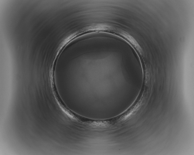 X0000116440850200912081555