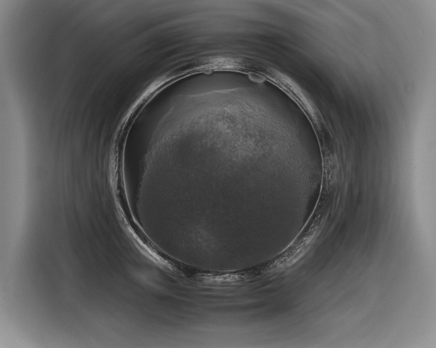 X0000116440851200912081555